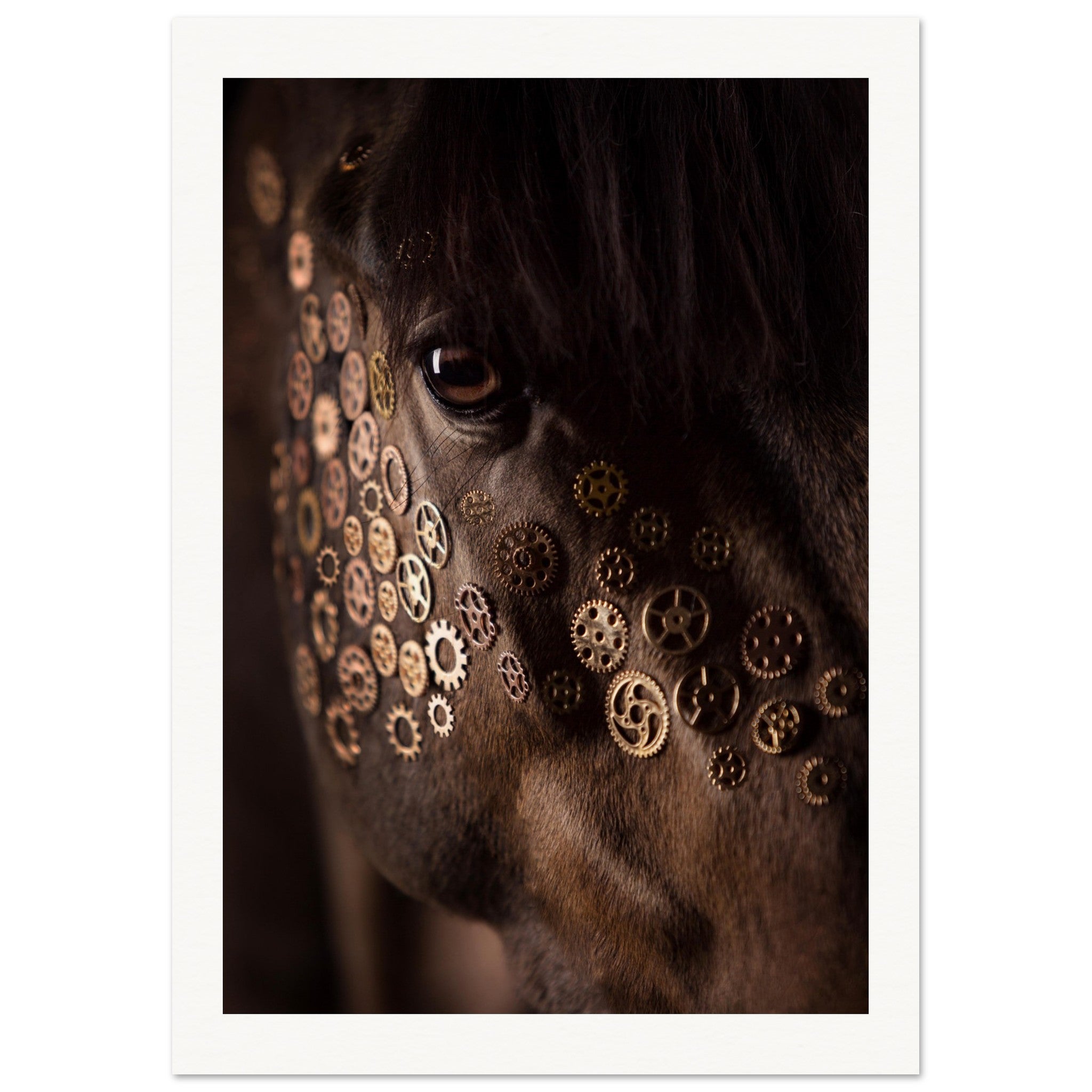 ab7e5d68-a39f-428e-866e-a13c65f3569c