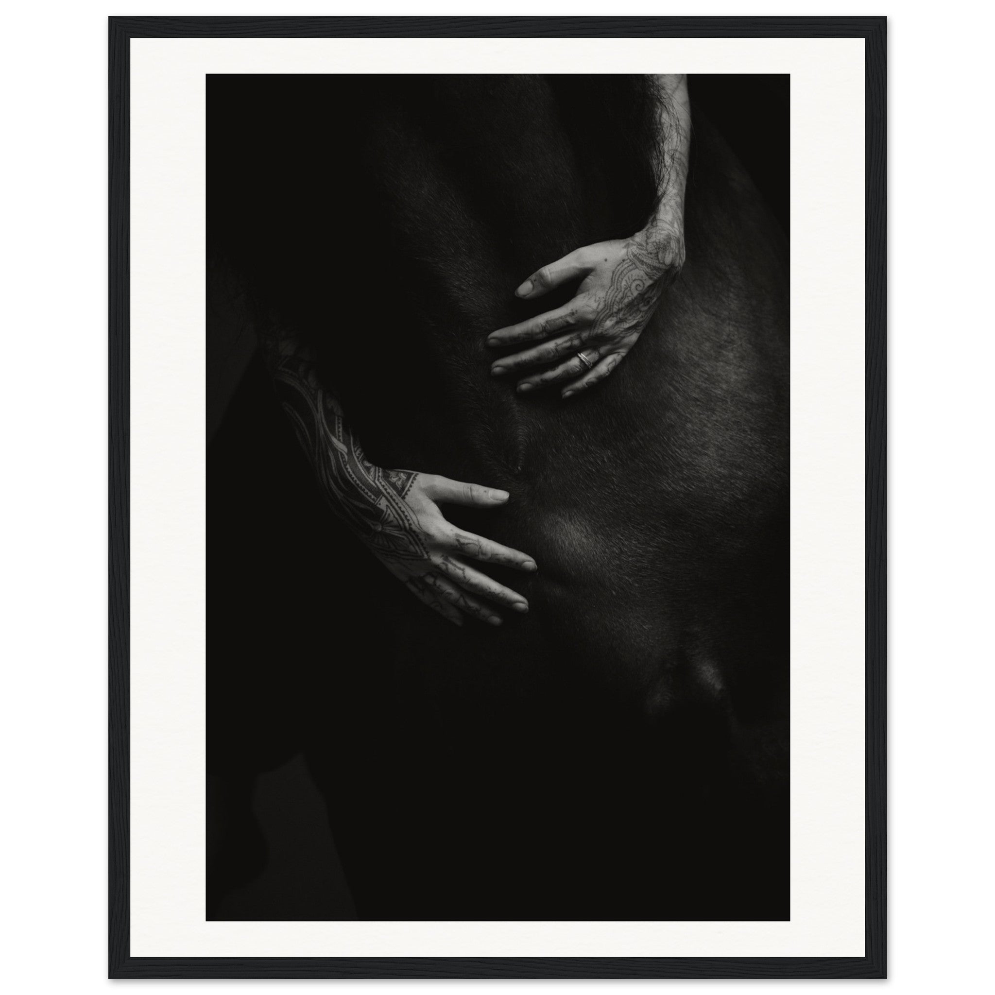 ab82c212-017b-4f26-8a11-2c07fce02787