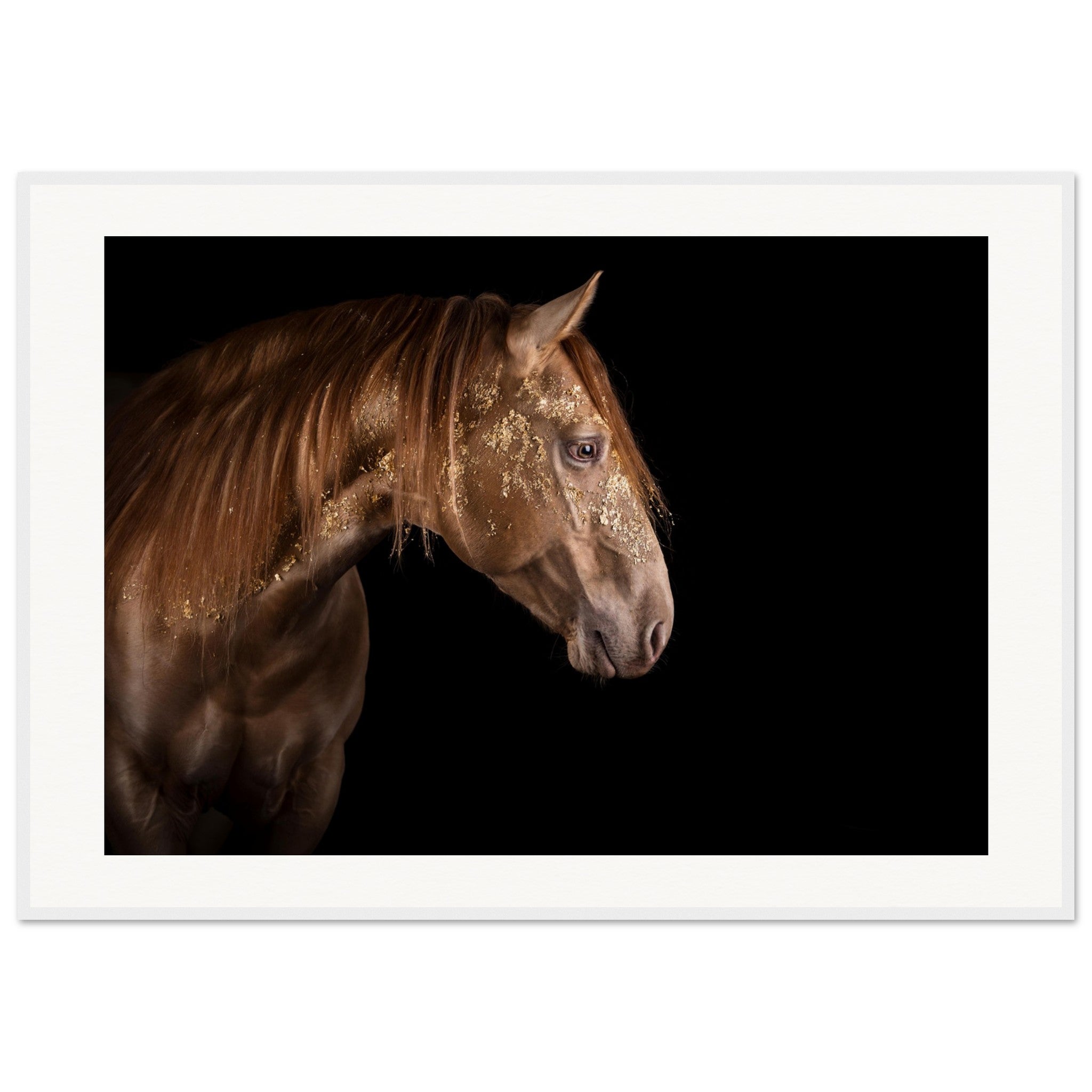 abc183d0-315d-4c53-82db-4f62aa8d42c0