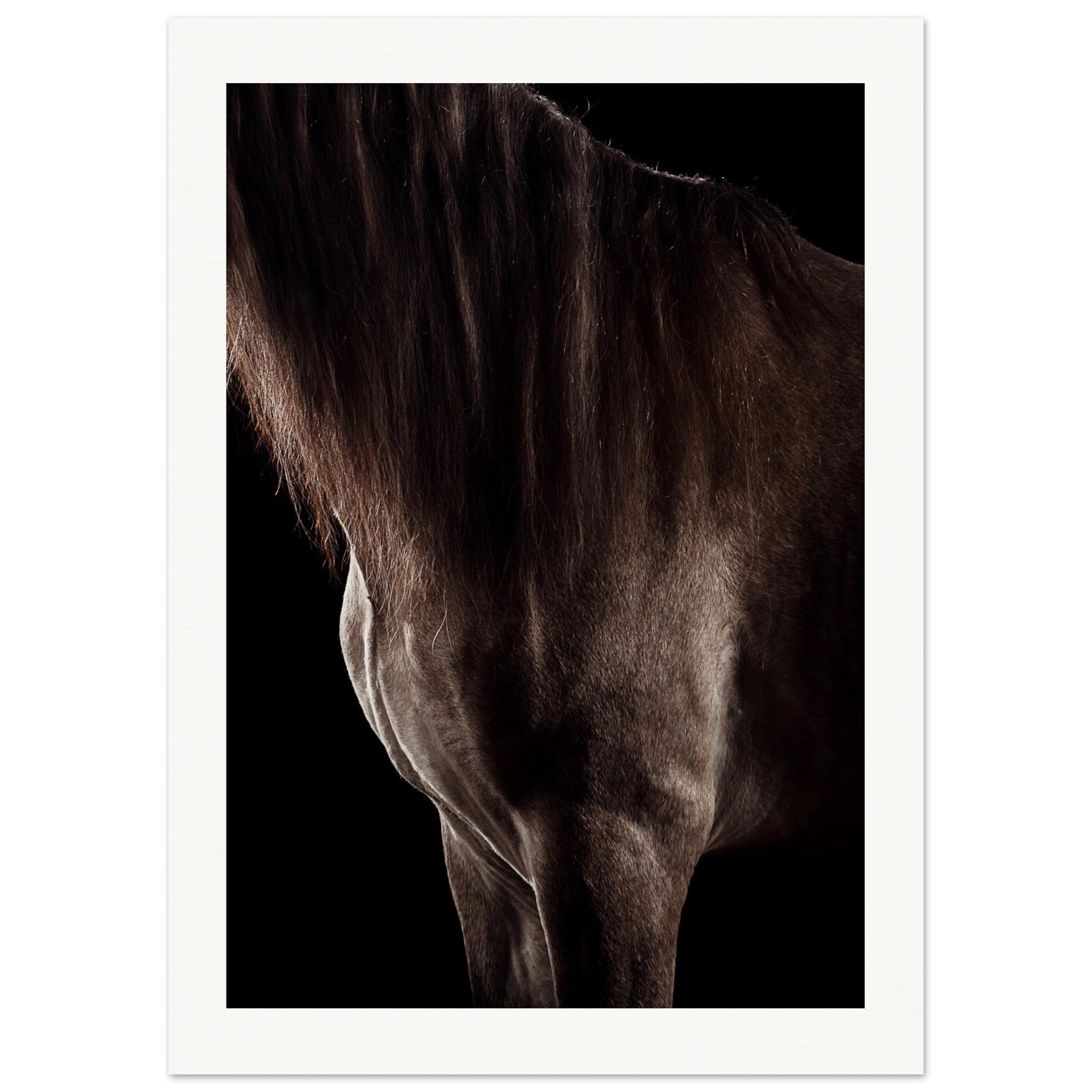 abe62664-c1c8-4ee7-9b6f-c9f682413bc4