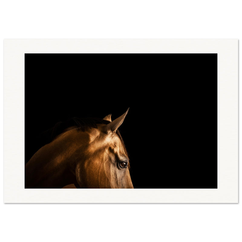 abe8c3ce-7433-4506-a907-76cbd49cc98b