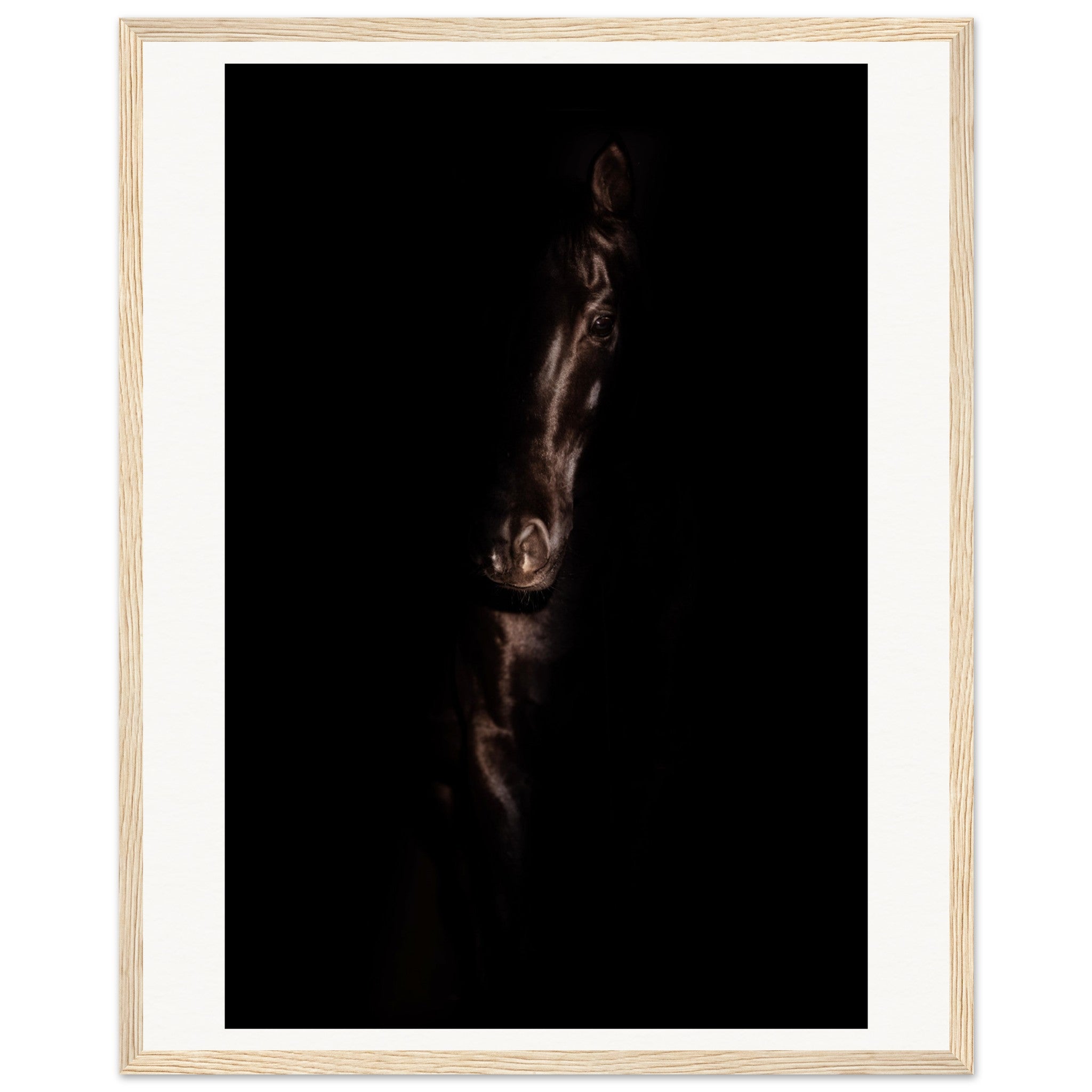 ac1d1806-67f9-435c-bb0e-aa51db32bb10