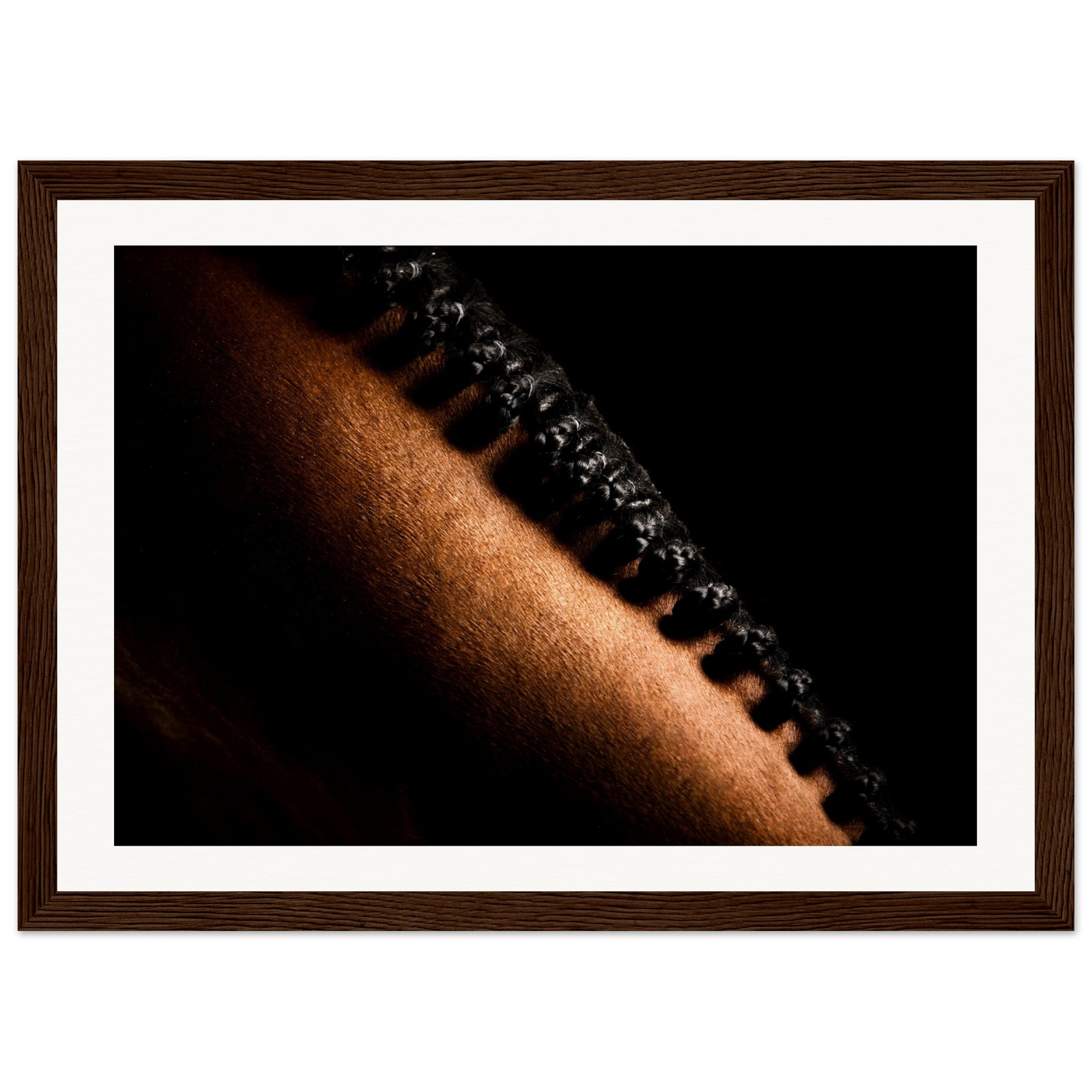 ac481f69-ee53-443d-9e91-61c25175f539