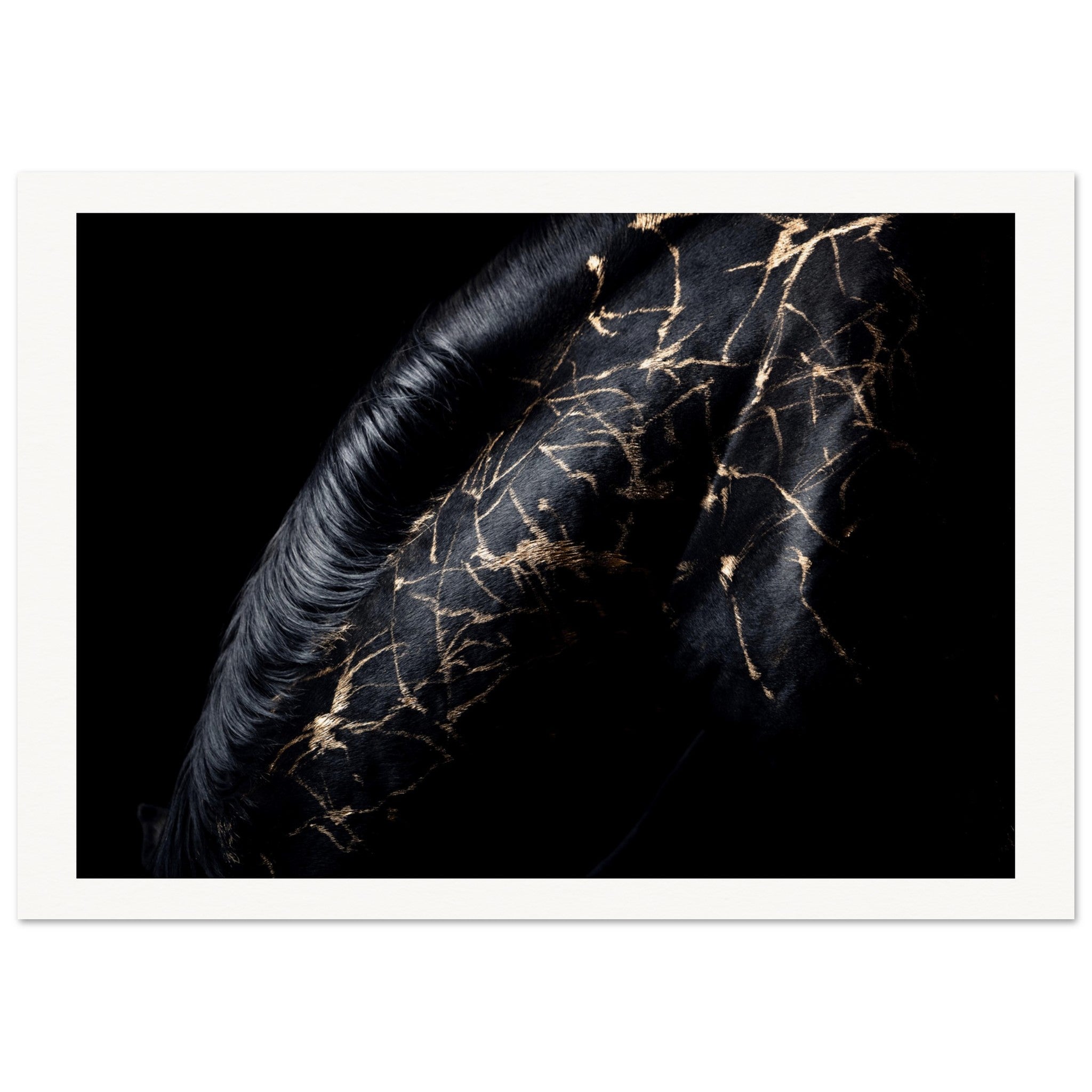 ac64deac-b964-41cd-8f7c-58975e0dfda8