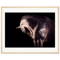 ac7723f2-4a29-4336-9b19-41554136b9d5