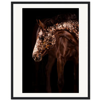 acb32f7b-2d00-4d98-b6bc-834c4203d329