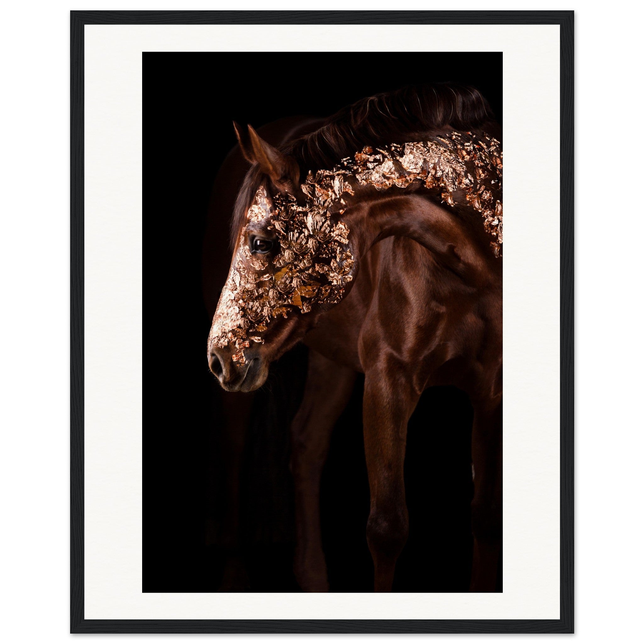 acb32f7b-2d00-4d98-b6bc-834c4203d329