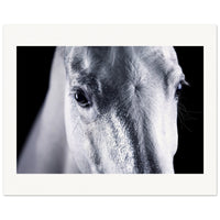 acd1d6d7-a2d6-44c3-af63-139b0cbf6dbf