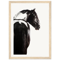 ace076a5-8847-4253-8e3d-fb85ce5085e1