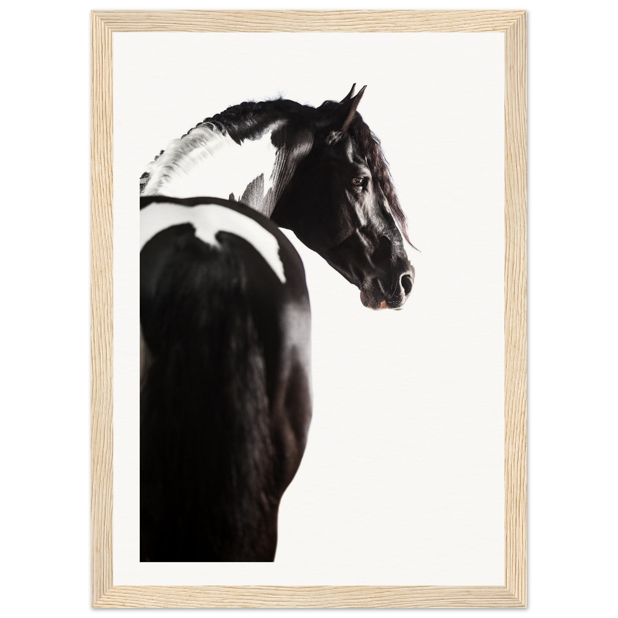 ace076a5-8847-4253-8e3d-fb85ce5085e1