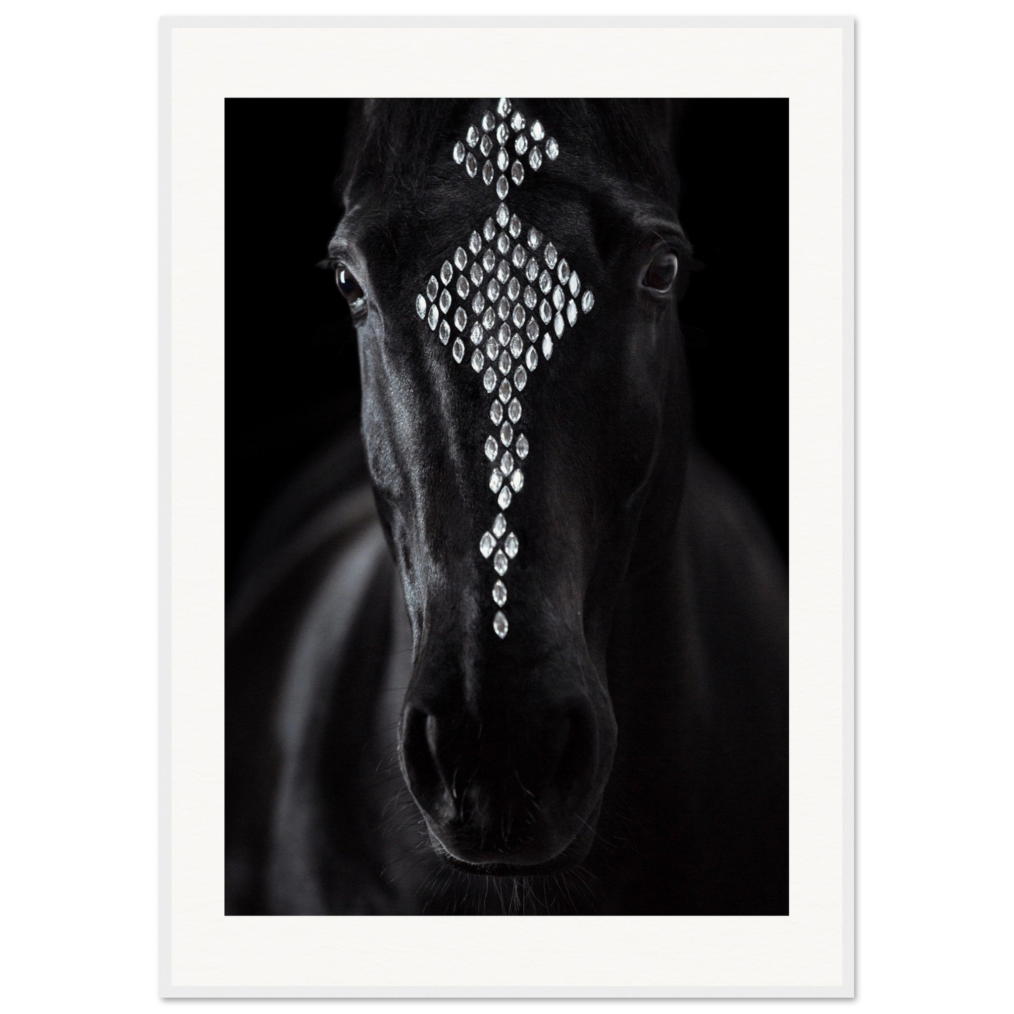 ad08b0fd-1ea6-4e00-a012-44bb7c760c6c