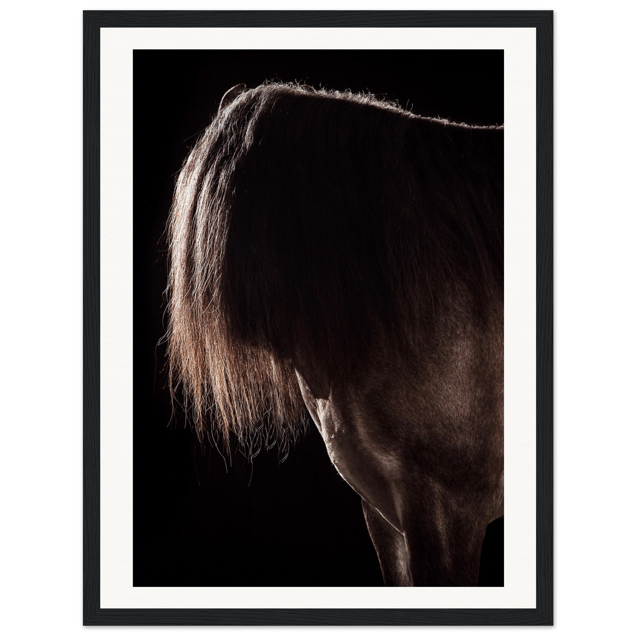 ad1358b1-48e6-4449-a6e9-ef638460b77b