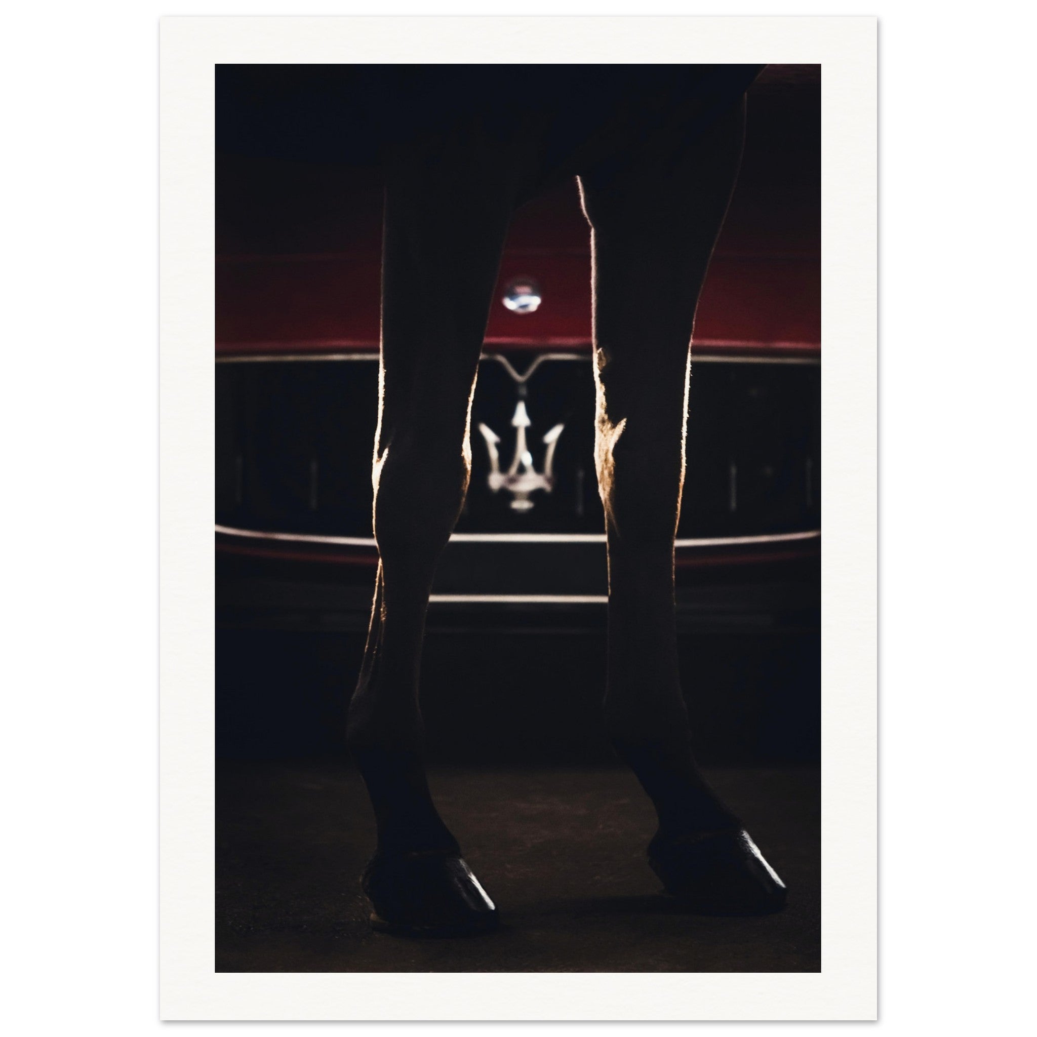 ad16b30f-2412-4c74-8067-58dc7f79a0f7