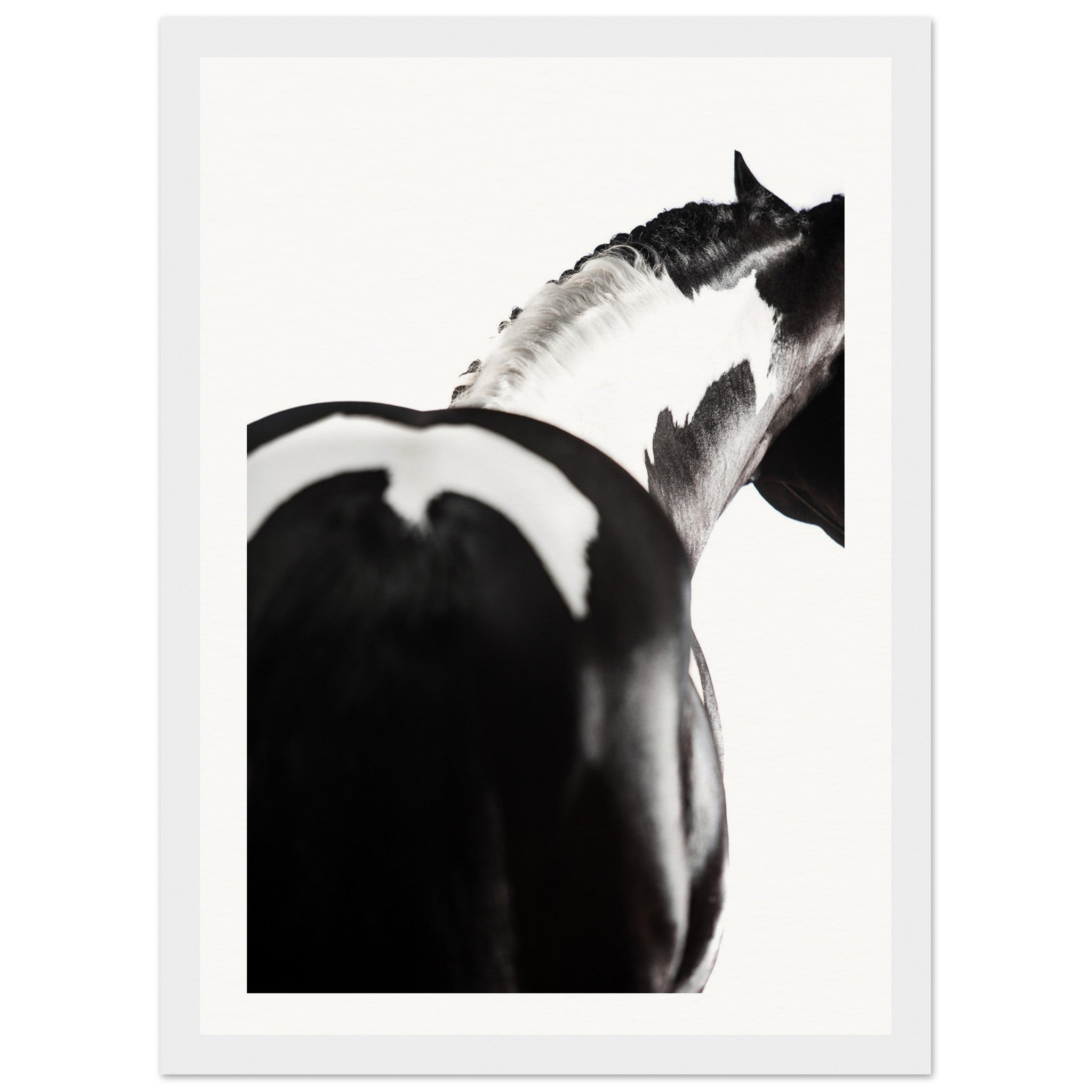 ad2e2e84-ed2d-4a2f-8002-9279189f3c15