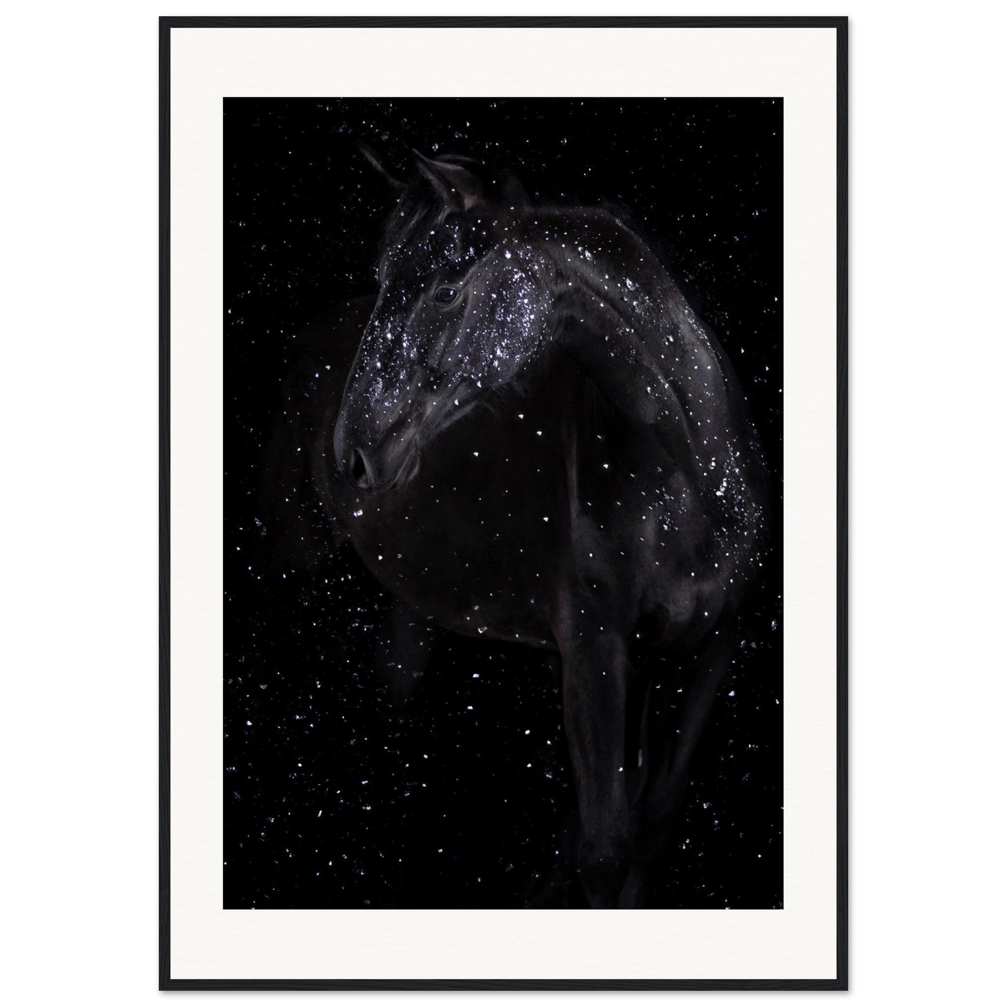 ad460322-87a7-4e6c-bf30-8fedb7894baf