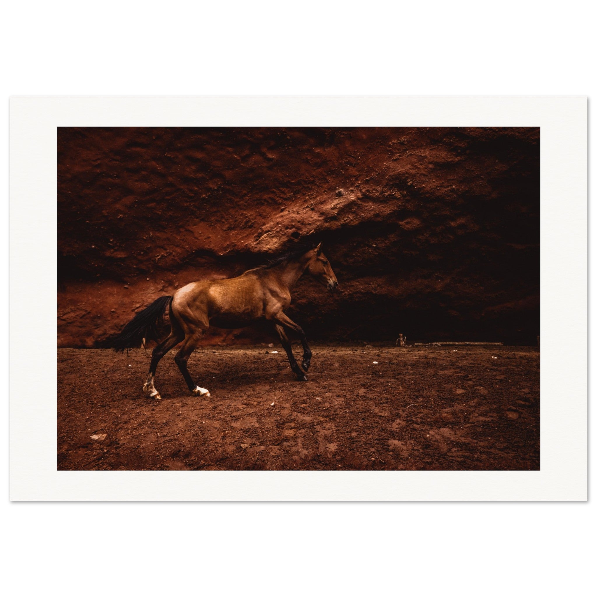 ad7bb9a5-a70e-45fb-9480-2ad45e553f1a