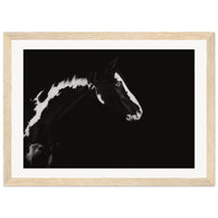 adabc51a-e2f7-4bb9-982b-efb002a2eb37