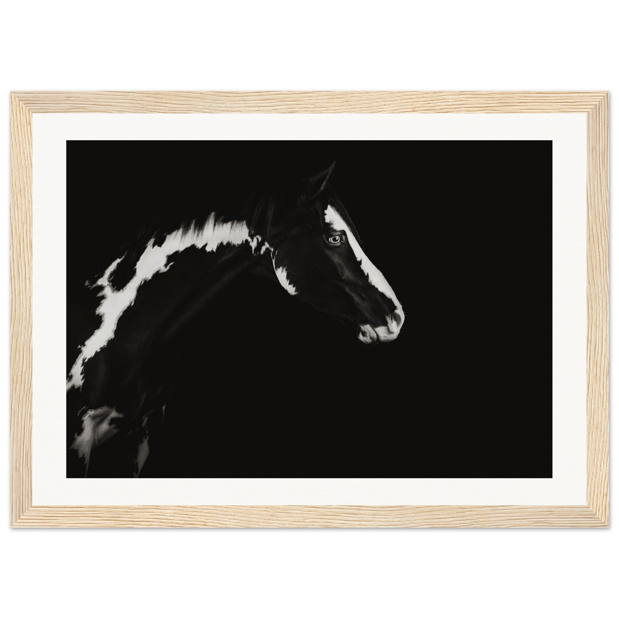 adabc51a-e2f7-4bb9-982b-efb002a2eb37