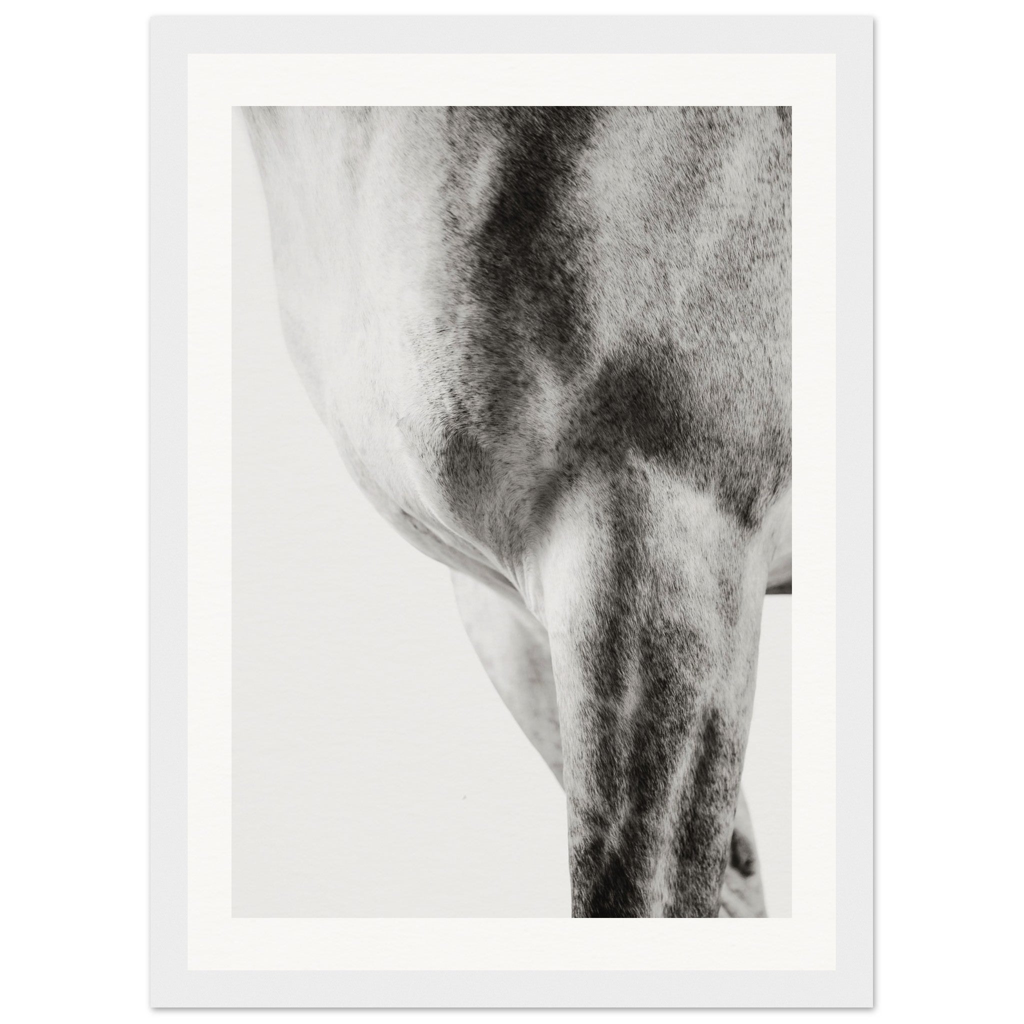 ae303afa-a9ea-40e4-9f99-4225be7affb6