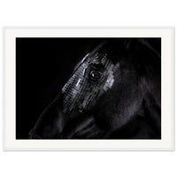 ae67e46c-b007-41a5-9fb2-5e6bdd927aa3