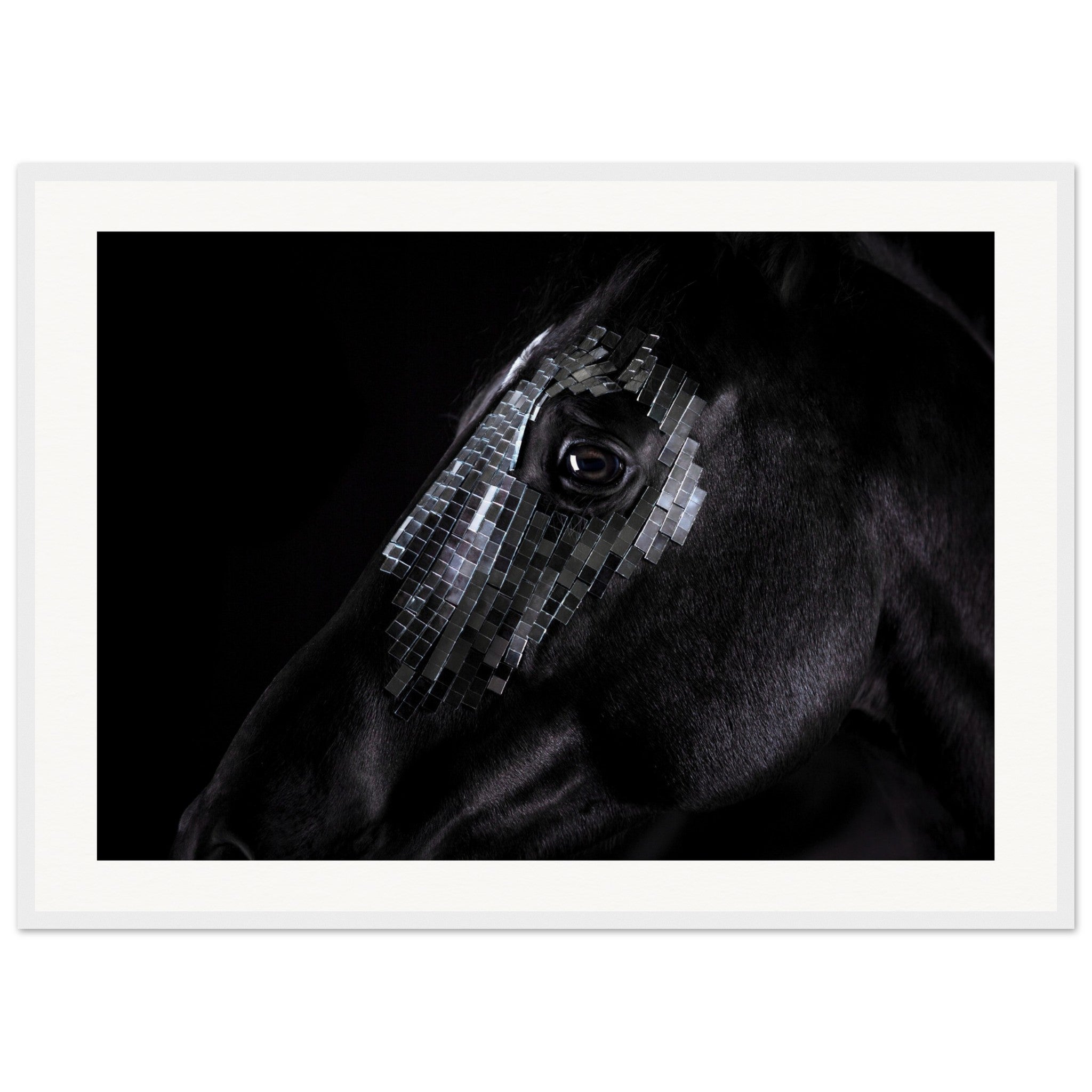 ae67e46c-b007-41a5-9fb2-5e6bdd927aa3