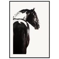 ae9633ea-4eed-41a1-b5b0-b2f49ccd16b3