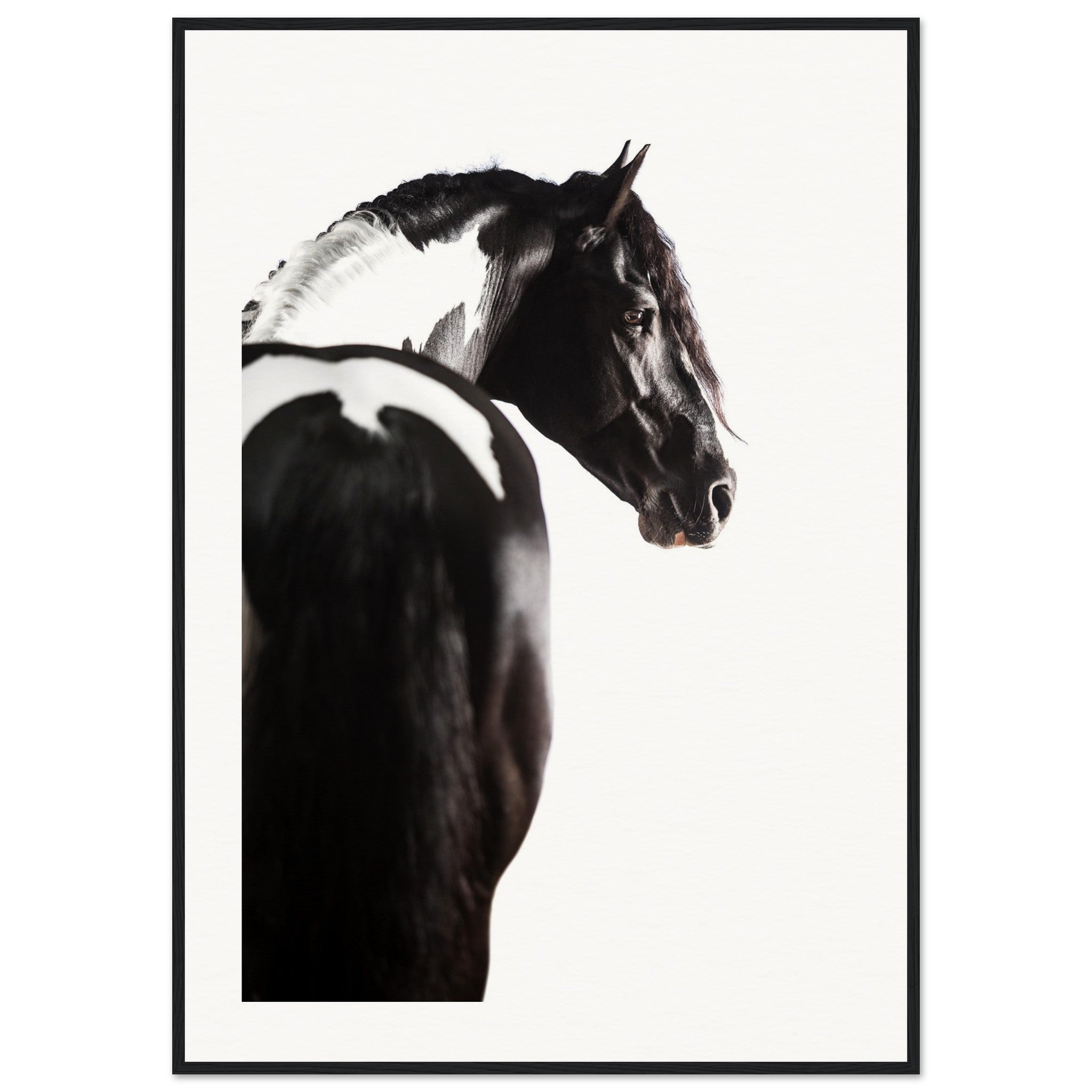 ae9633ea-4eed-41a1-b5b0-b2f49ccd16b3