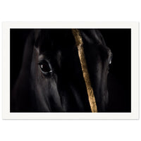 ae9beac9-65b9-4a4f-86f1-dfb651ca7d2b