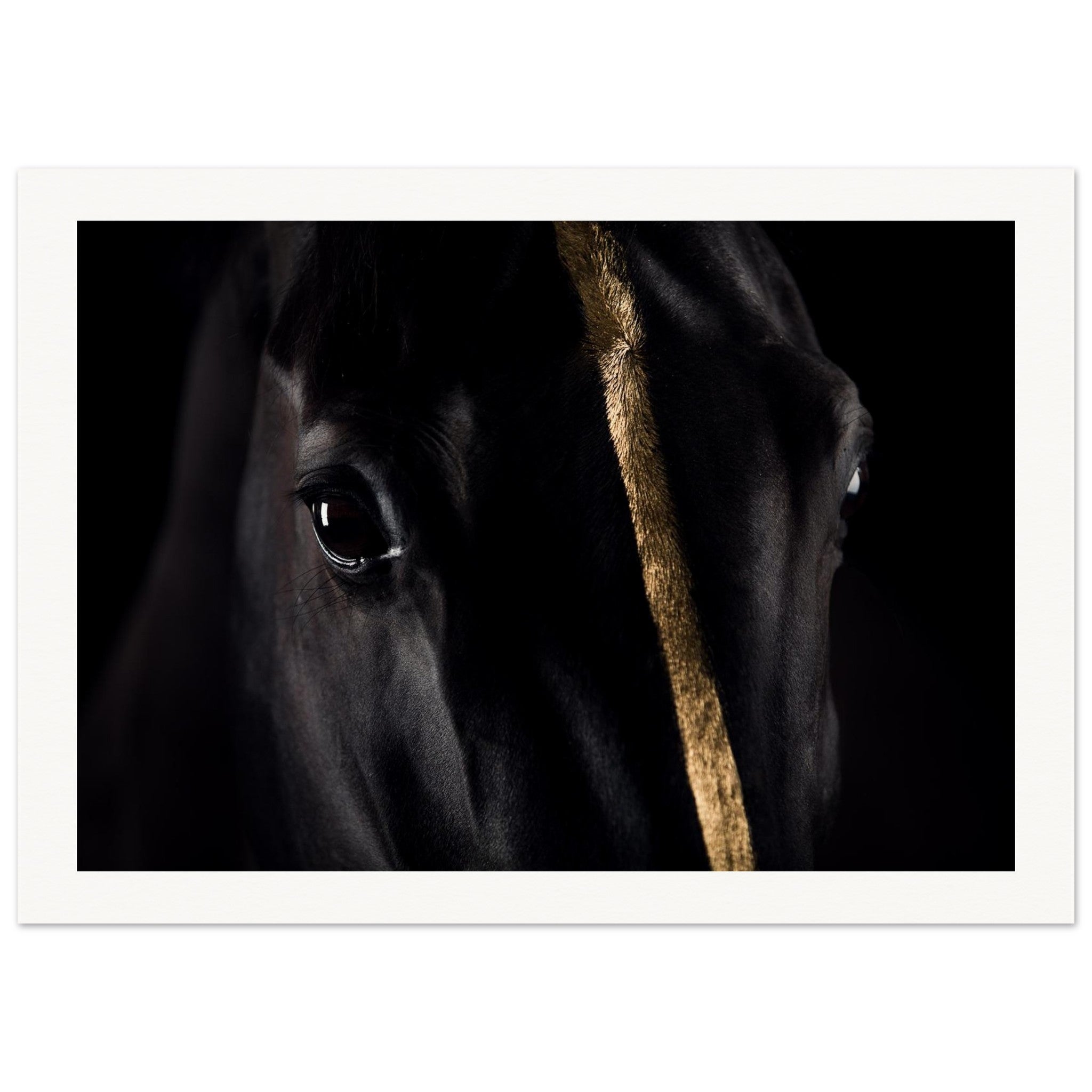 ae9beac9-65b9-4a4f-86f1-dfb651ca7d2b