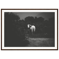 aeb347bf-8a4b-477e-9cf2-69fbfb25c9d8