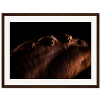 af0c23a6-3c05-4fae-aa22-b2531291de51