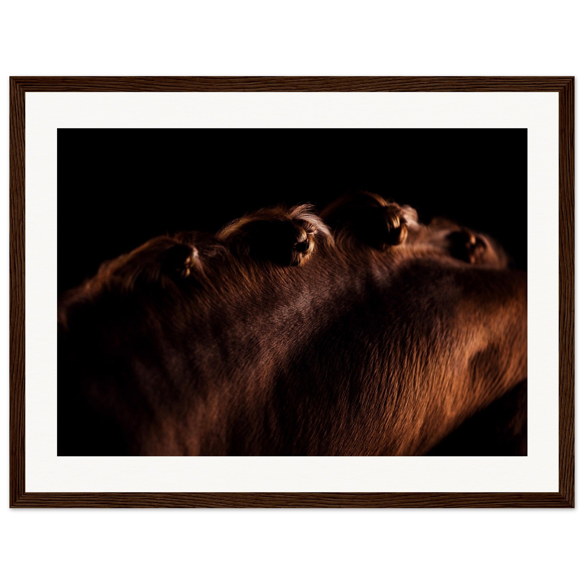 af0c23a6-3c05-4fae-aa22-b2531291de51