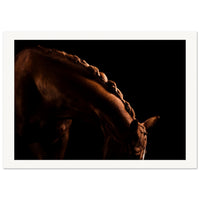 af389f8b-cf04-4063-9a4e-7c2186ed9077