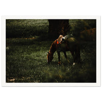 af80e10d-f922-415c-9992-b7aa9f2e388b