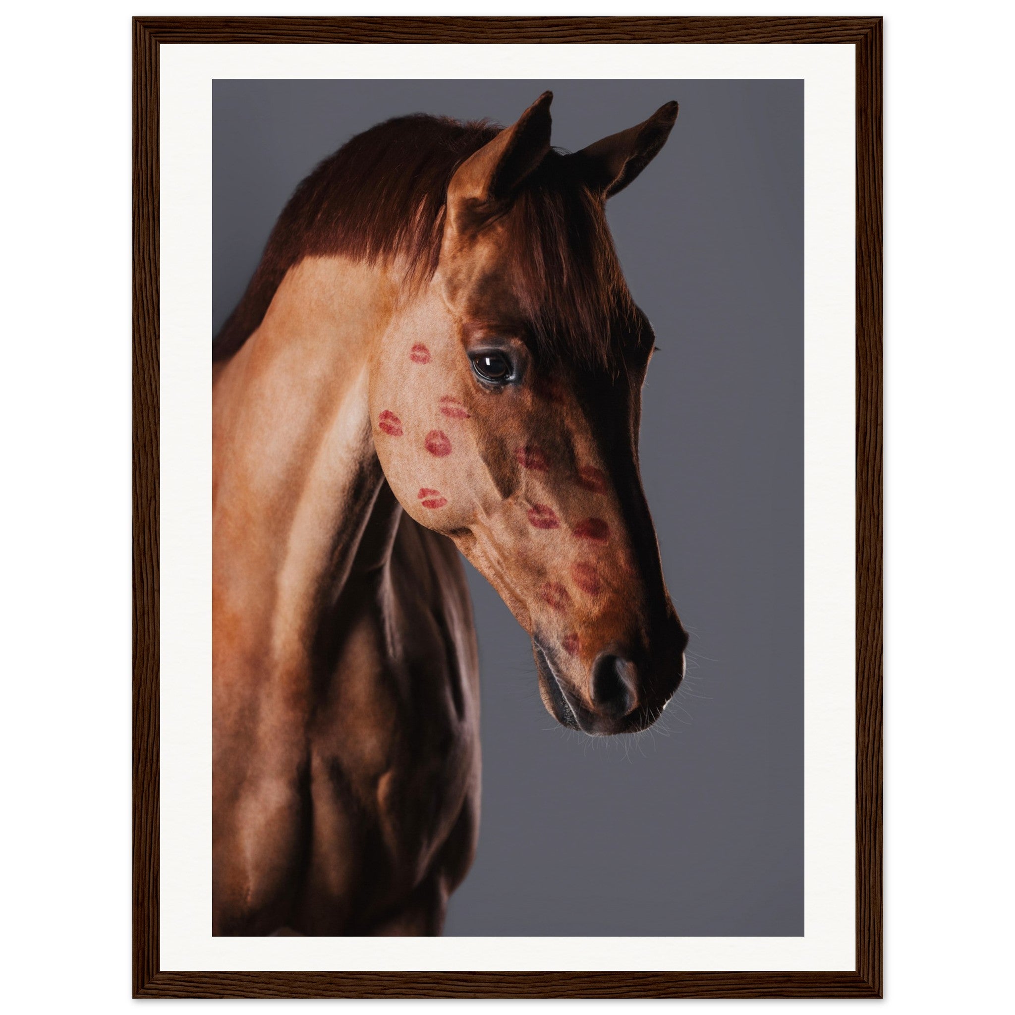 af820a2d-c062-4b83-ae81-a96721568df7