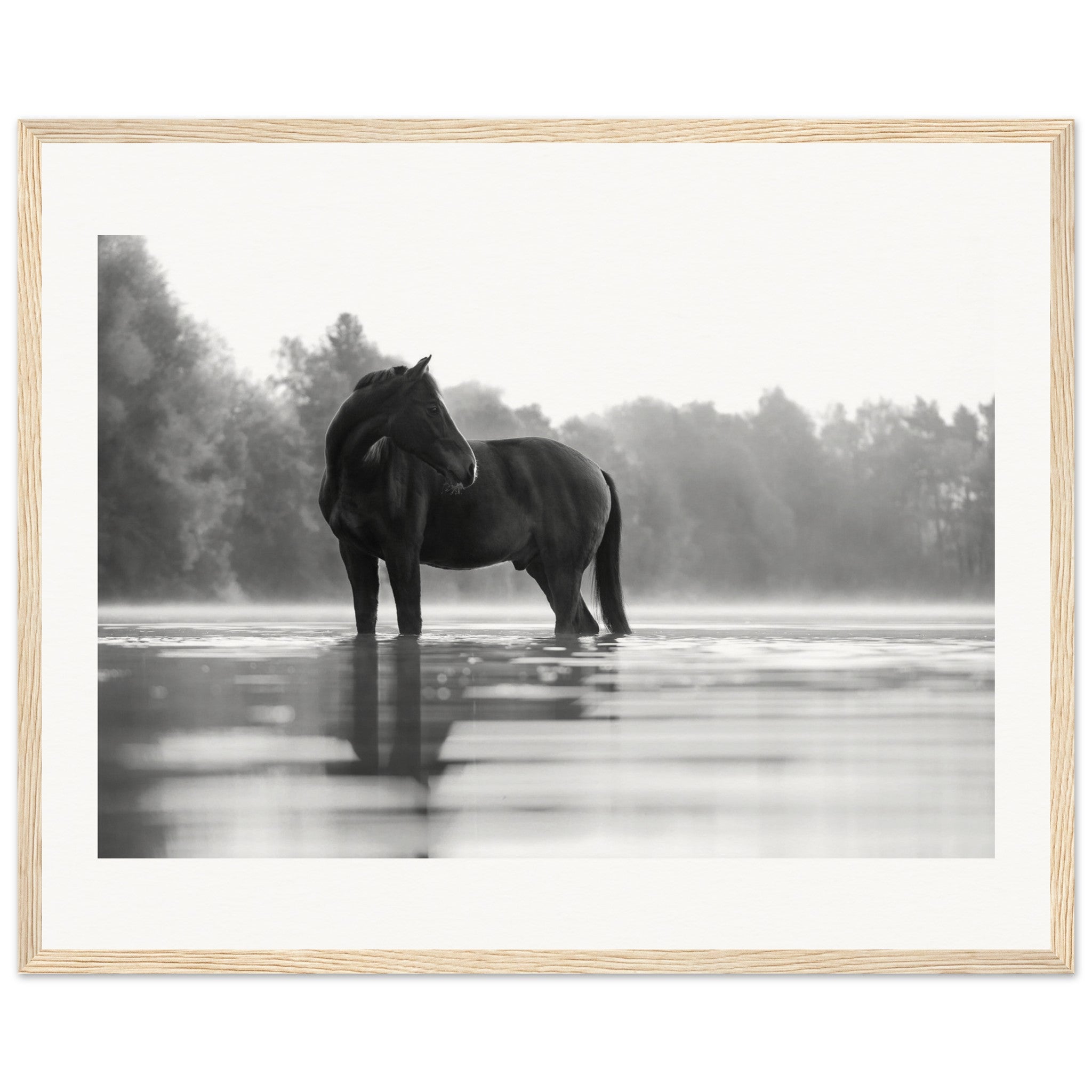 af85f7e7-ac02-4aa8-a3c9-c359ab9781ad