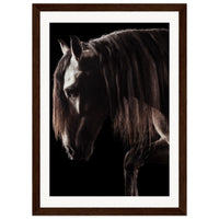 afa952f9-593b-4a48-bcbf-346fdf3004da