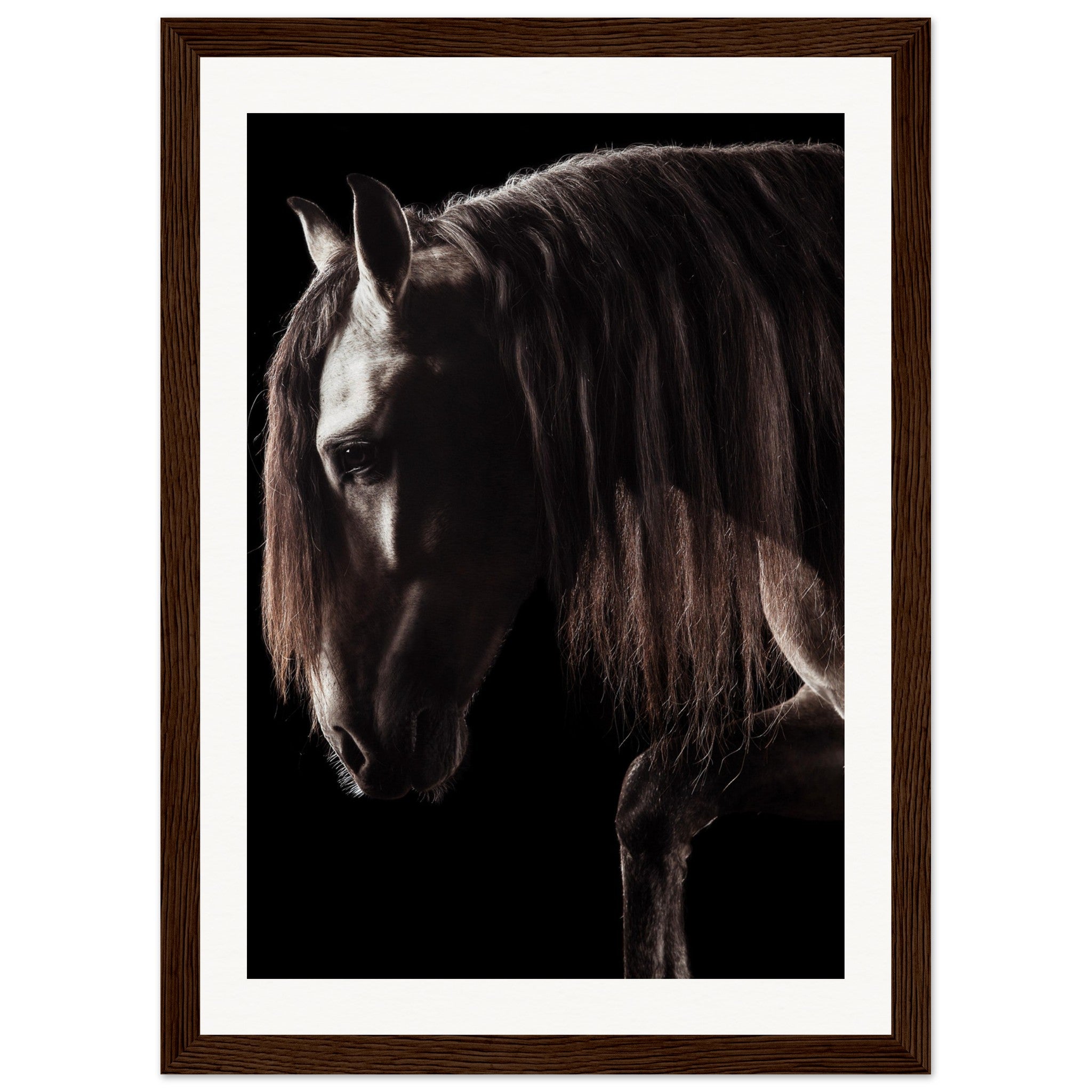 afa952f9-593b-4a48-bcbf-346fdf3004da