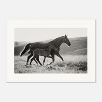 aff6e5d5-73c5-47ad-aac0-17334dd8910c