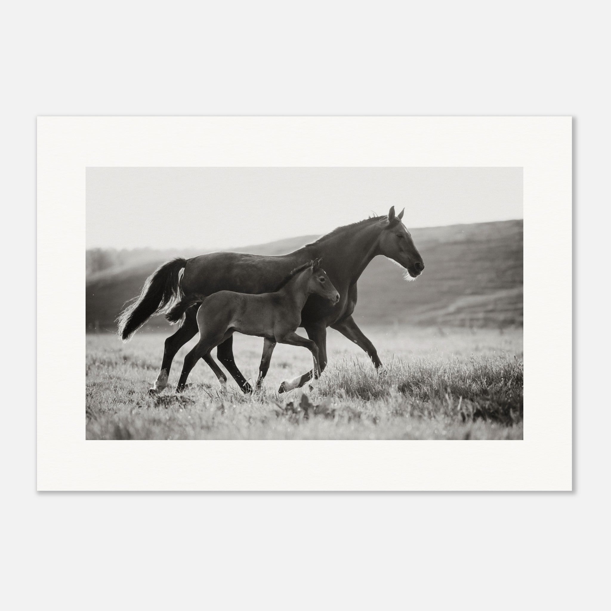 aff6e5d5-73c5-47ad-aac0-17334dd8910c