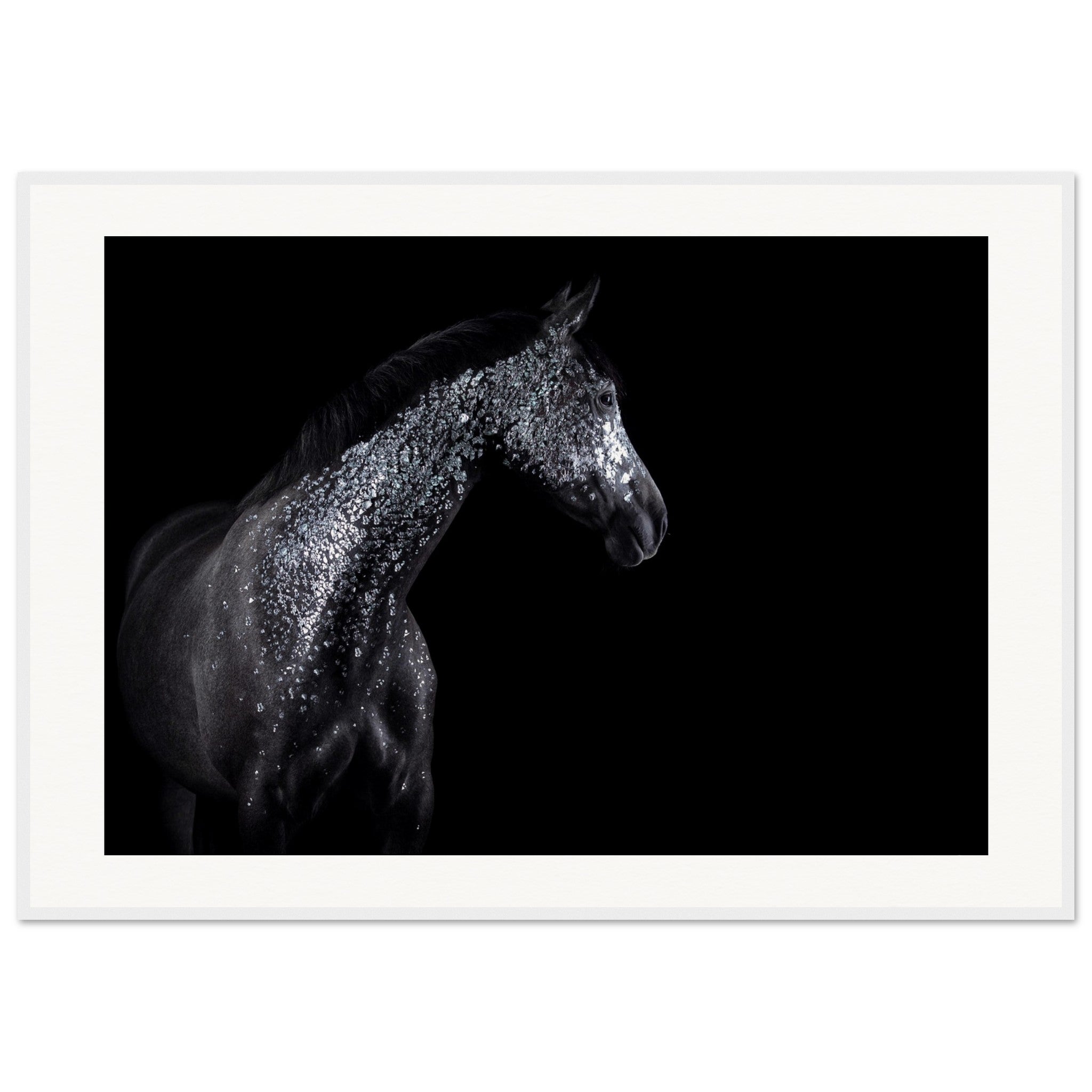 b02107b9-8fc0-4dd5-ba23-5665f292b420