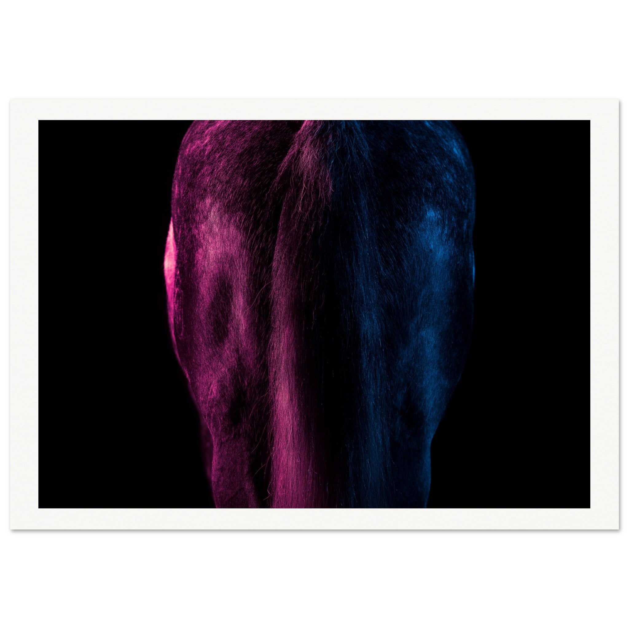 b084ab35-1c9c-4b63-a25c-1bd315bf8c22