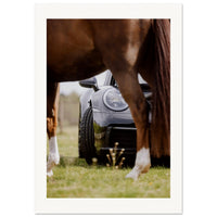 b09d0dd0-a5b3-4428-b255-50e42e087130