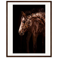 b0c7c210-36fe-486e-a4a3-aec4edd6afb9