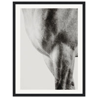 b1038358-e9d7-4709-9d10-c8a03ef0066d