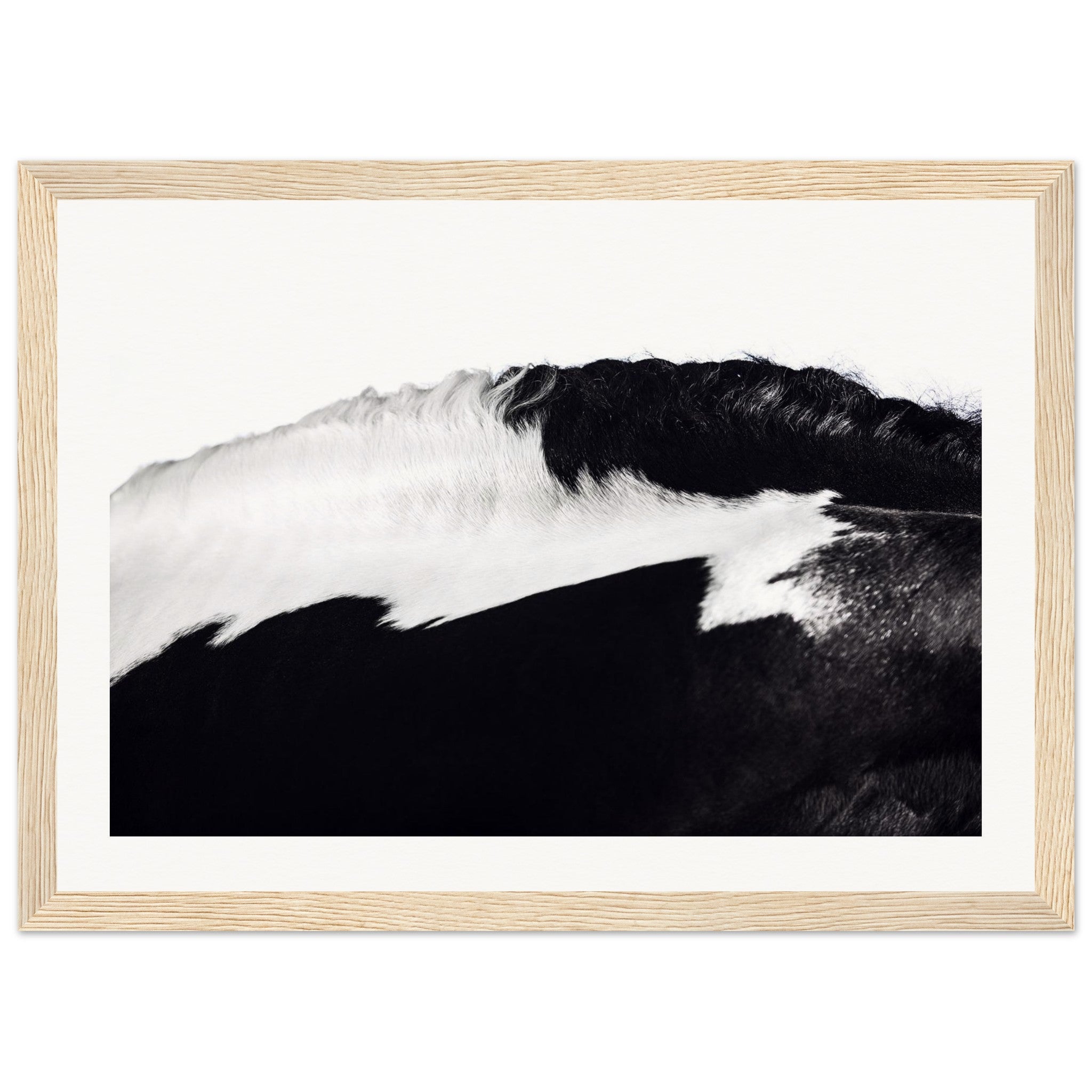 b1196cf1-8742-4e10-9f2a-c4437bfc69c9