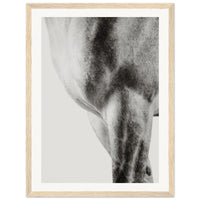 b129e955-8e9c-4d41-9d86-aadac276f199