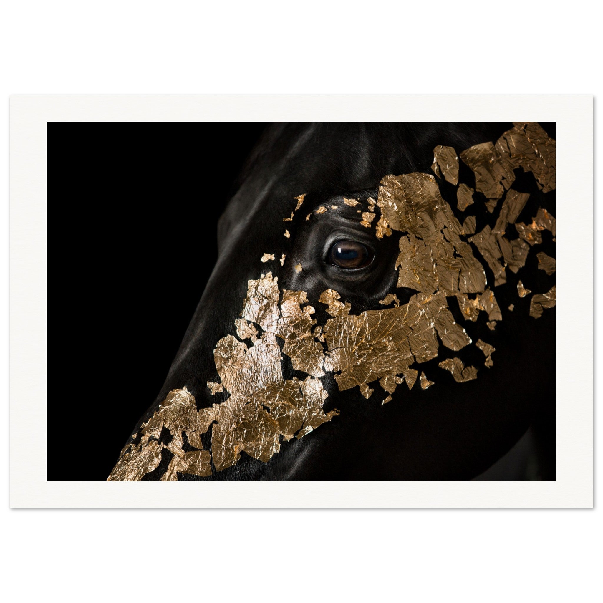 b1466d94-9277-421f-813c-ccaa31af433e