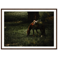 b14924fc-760c-4384-9fac-4f60fa6df12d