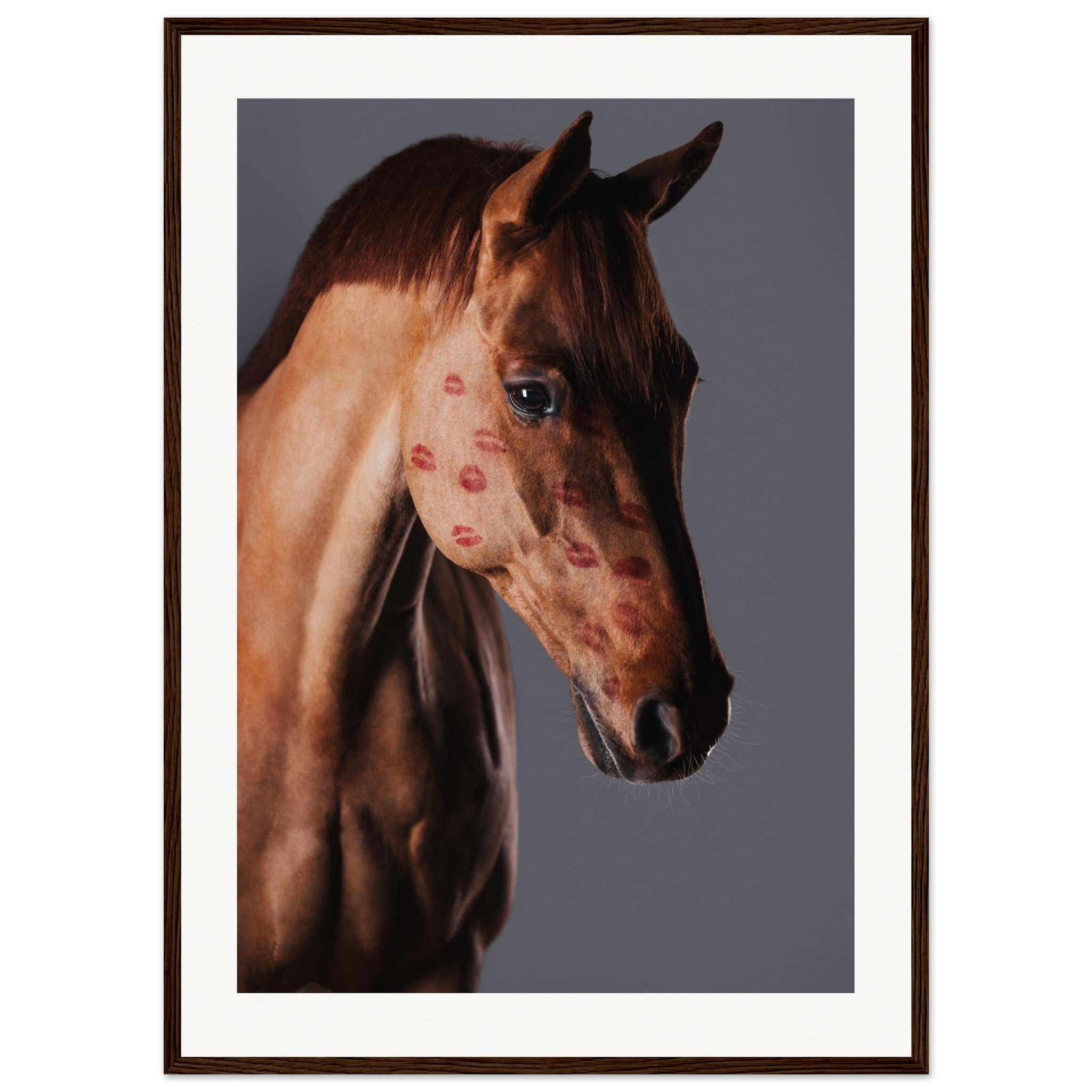 b14de319-2440-4129-a191-073759bb5ef3